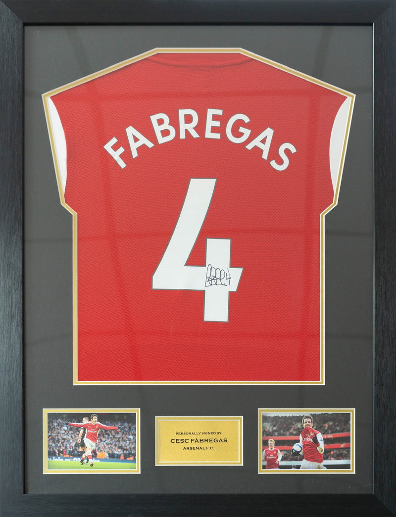 Fernando Torres Liverpool Home Jersey Framed (Back Signed)