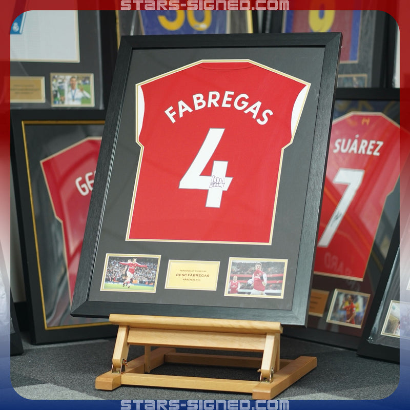 Fernando Torres Liverpool Home Jersey Framed (Back Signed)